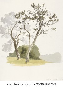 Orchard Trees at Under River near Knole (1826), vintage nature illustration by Robert Hills.  Vintage tree art drawing, tree art print, old illustration, tree and nature painting.