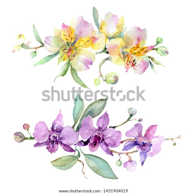 Orchid Bouquets Floral Botanical Flowers Wild Stock Illustration ...