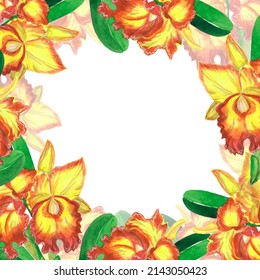 Orchid frame pattern cattleya Flower  yellow phalaenopsis cattleya bouquet  floral  sketch illustration tracery ornament