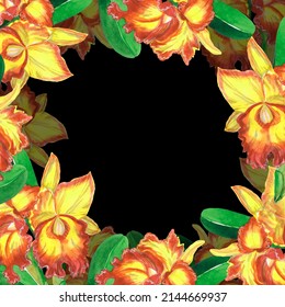 Orchid Frame Pattern Cattleya Flower Yellow Stock Illustration ...