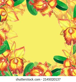 Orchid Frame Pattern Cattleya Flower Yellow Stock Illustration ...