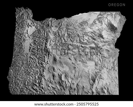 Oregon Isolated Relief Map 3D Illustration