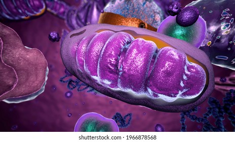 Organelles inside Eukaryote, focus on mitochondria - 3d illustration