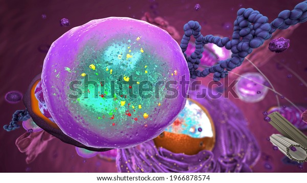 Organelles inside Eukaryote, focus on\
lysosome - 3d\
illustration