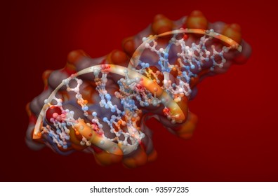 organic chemistry: model of the DNA molecule - illustration of a biological particle