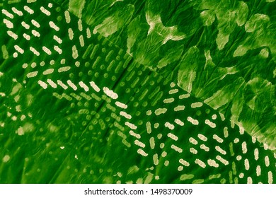 Organic Color Tie Dye Shibori Pattern. Organic Template. Emerald Green Tie Dye Watercolor Art. Healthy Living Idea. Leafy Color Aquarelle Background. Fresh Bio Food Design. - Shutterstock ID 1498370009