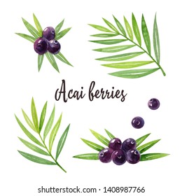 Organic superfood acai with green leaves and acai berries isolated on white background. Watercolor hand drawn illustration. - Powered by Shutterstock