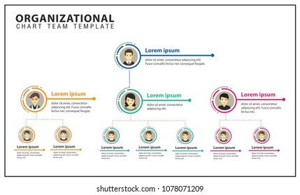 Website Organization Chart Template