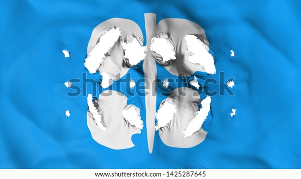 Organization of the Petroleum\
Exporting Countries flag with a small holes, white background, 3d\
rendering