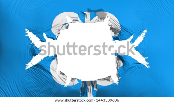 Organization of the Petroleum\
Exporting Countries flag with a big hole, white background, 3d\
rendering