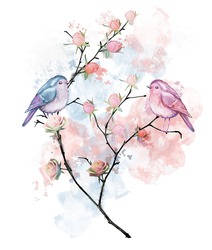 Original, Designer Print. Watercolor, Illustration.A Couple In Love. Birds On A Branch. Roses. Gentle, Pink, Blue.