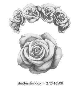 Original drawing Roses  Isolated white background