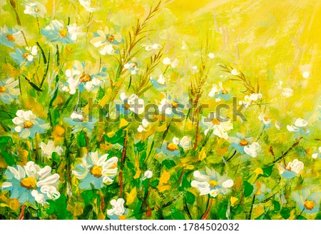 Original oil painting Beautiful floral background with chamomile flowers