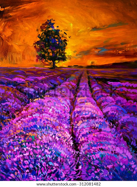 Original Oil Painting Lavender Field Modern Stock Illustration 312081482