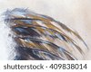 abstract painting birds