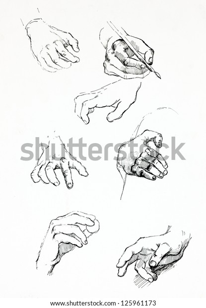 Original Pencil Drawing Charcoal Hand Drawn Stock Illustration ...