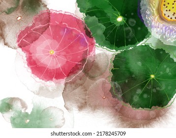 Original Pink Lotus Watercolor Painting Png Illustration Lotus Pond Lotus Leaves And Lotus Pods Artworks