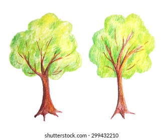 Original tree    bush drawn by color pencils  Illustration isolated objects white background 