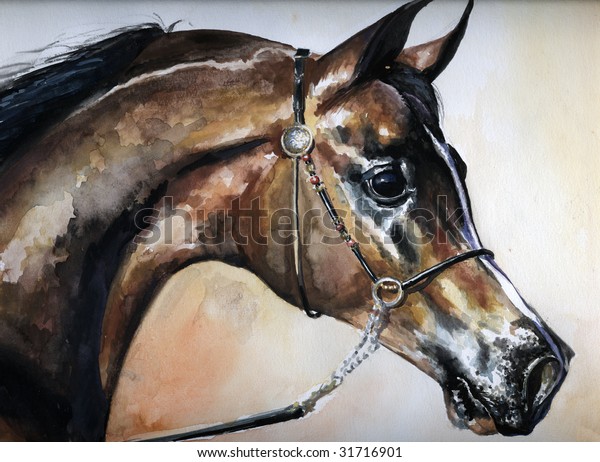 Original watercolor painting of a fine Arabian horse. 