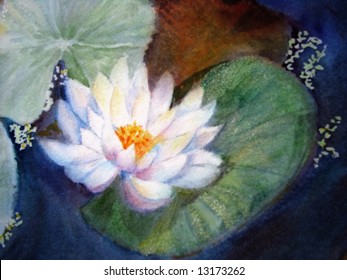 Original Watercolor Painting Of Water Lily