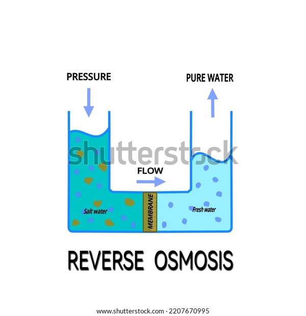 Osmosis Process Treatment Stock Illustration 2207670995 | Shutterstock