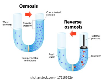 Osmosis And Reverse Osmosis