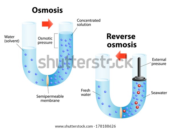Osmosis and Reverse\
osmosis
