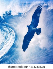 Osprey In Flight Over Waves, Digital Photo Art, Illustration 