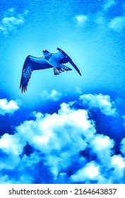 Osprey Flying Above Clouds, Digital Photo Art, Illustration 