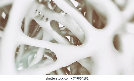 Osteoporosis -look Into The Bone - 3d Rendering