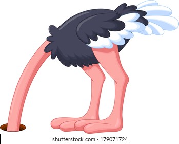 Ostrich hiding its head