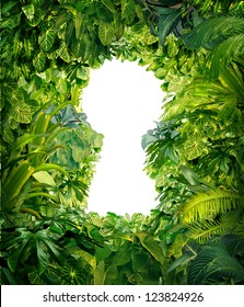 Out Of The Jungle As A Nature Concept Of Freedom And Success From Chaos And Confusion With A Thick Green Rain Forest As A Group Of Tropical Plants In The Shape Of A Blank White Glowing Key Hole.