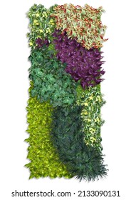 Outdoor Vertical Garden With Nature Plant And Colorful (background)