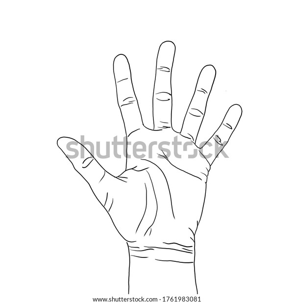 Outline Drawing Open Palm Hand Five Stock Illustration 1761983081 ...