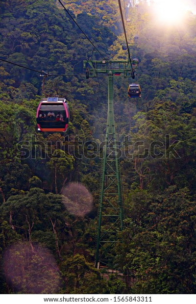 Overhead Cable Car hanging and moving on cable\
lines of Skybridge over forest which on mountain. ILLUSTRATION ASIA\
TRAVEL CONCEPT. Transportation in natural landscape areas of Ba Na\
Hills, Vietnam.