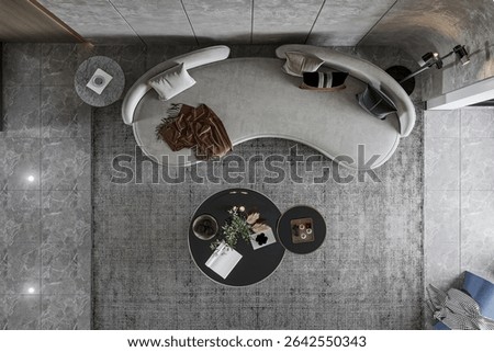 Overhead View Chic Curved Sofa, Coffee Tables, and Textured Rug Layout
