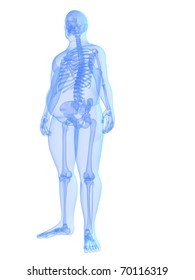 overweight male - skeleton