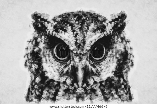Owl Black White Digital Painting Owls Stock Illustration