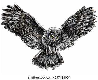 Owl Fly Draw Monochrome Illustration Stock Illustration 297413054 ...