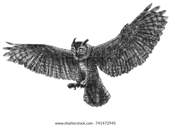 Owl Flying Swoop Landing Hand Draw Stock Illustration 741472945