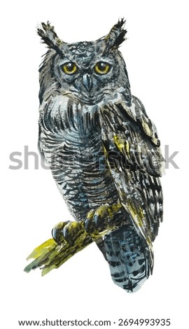Owl. Pattern with bird. Hand drawn illustration mix media: watercolor, oil pastel, color pensil