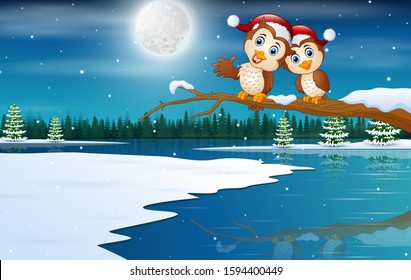 10 Snowy owl on a starry night Images, Stock Photos & Vectors ...