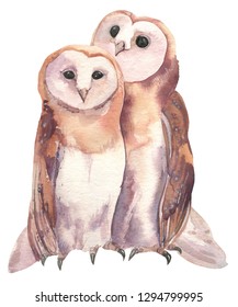 Owls. Cute couple of birds.Watercolor illustration. Isolated on white background.