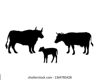 Ox Cow Calf Farm Mammal Black Silhouette Animal. JPG Illustration.