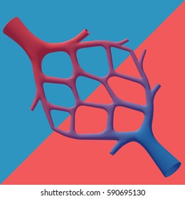 Oxygenated Blood Flows Through The Small Arterioles Into The Capillary Bed Where The Oxygen Diffuses Into The Surrounding Tissues. The De-oxygenated Blood Is Collected In The Venules.