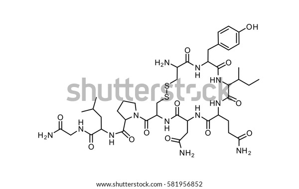 オキシトシン化学式科学シンボルエレメント反応 のイラスト素材