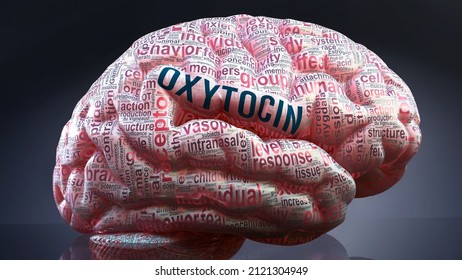 Oxytocin in human brain, hundreds of crucial terms related to Oxytocin projected onto a cortex to show broad extent of the condition and to explore concepts linked to it, 3d illustration