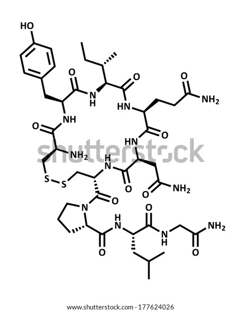 Oxytocin Love Hormone Molecule Skeletal Formula のイラスト素材