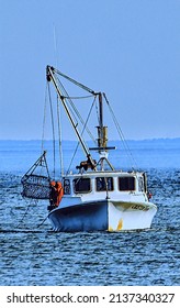 Oyster Dredge Boat And Crew, Chesapeake Bay, Illustration 