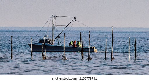 Oyster Dredge Boat And Crew, Chesapeake Bay, Illustration 